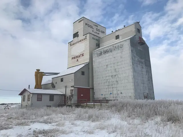 The Primate grain elevator in winter