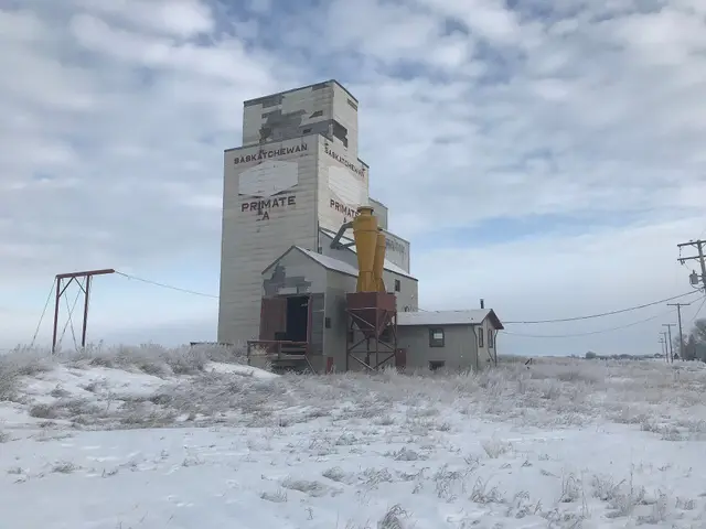 The Primate grain elevator in winter